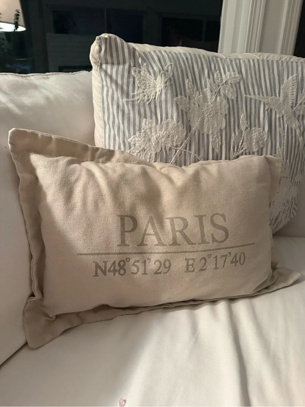 Throw Pillow with Pillowcase Removable Cover